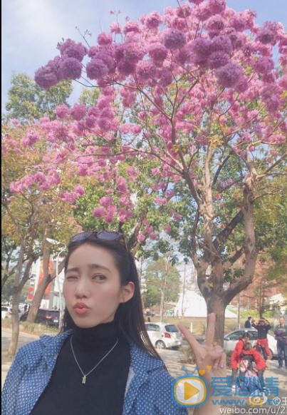 王棠云旅行写真 王棠云高清写真_王棠云高清剧照