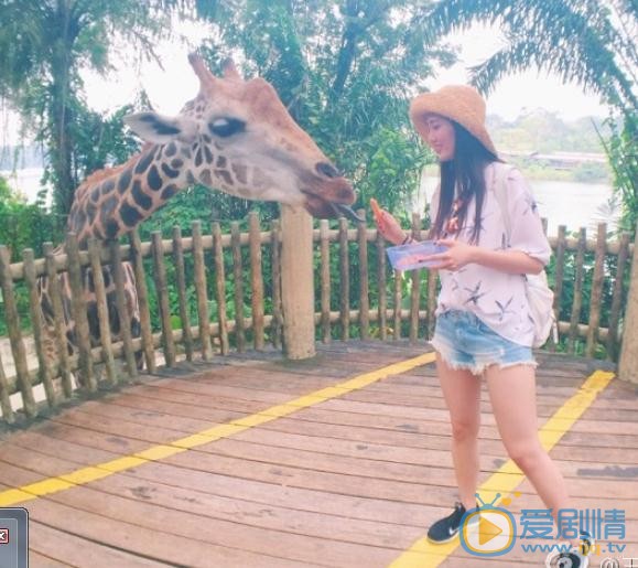 王棠云清纯写真 王棠云高清写真_王棠云高清剧照