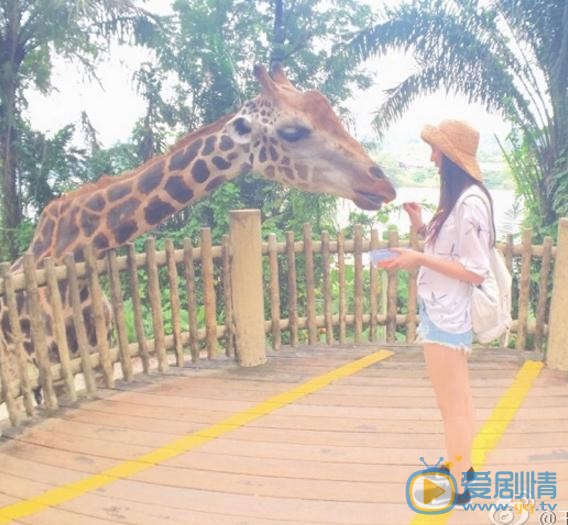 王棠云清纯写真 王棠云高清写真_王棠云高清剧照