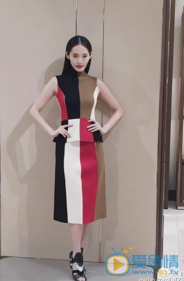 王棠云参加活动写真 王棠云高清写真_王棠云高清剧照