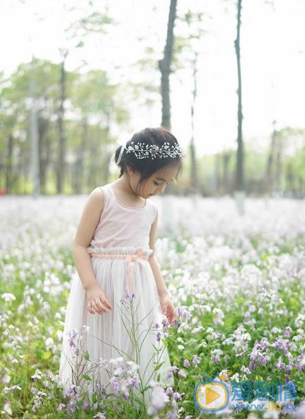 窦若兮花仙子写真 窦若兮高清写真_窦若兮高清剧照