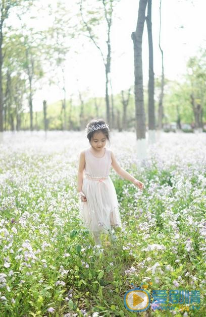窦若兮花仙子写真 窦若兮高清写真_窦若兮高清剧照