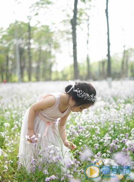窦若兮花仙子写真 窦若兮高清写真_窦若兮高清剧照