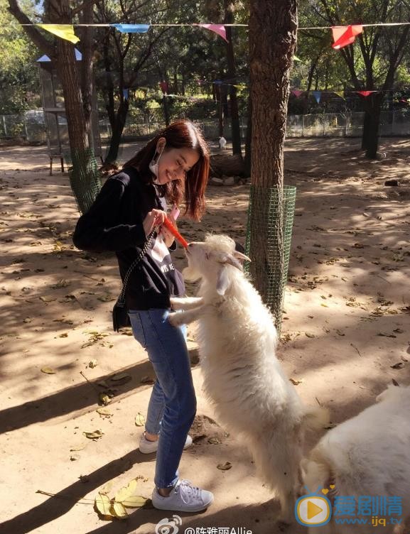 陈雅丽旅行大片 陈雅丽高清写真_陈雅丽高清剧照