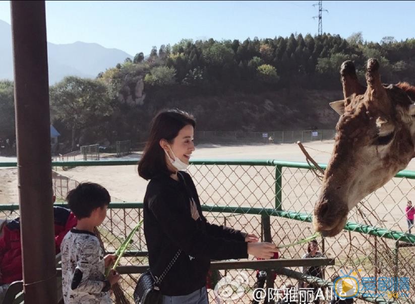 陈雅丽旅行大片 陈雅丽高清写真_陈雅丽高清剧照