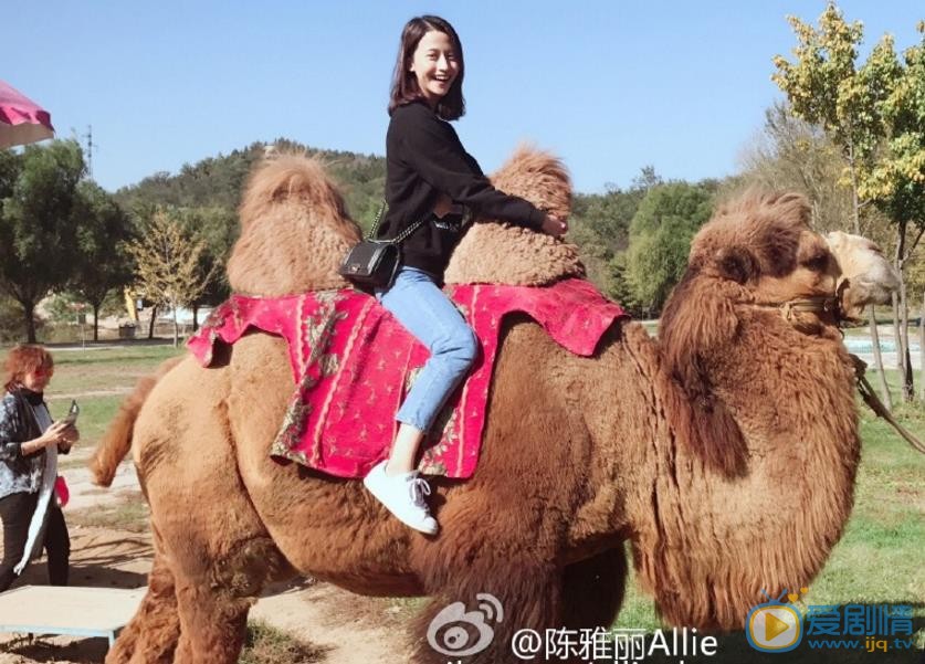 陈雅丽旅行大片 陈雅丽高清写真_陈雅丽高清剧照