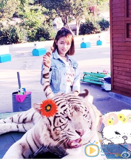 王梓芠生活照写真 王梓芠高清写真_王梓芠高清剧照