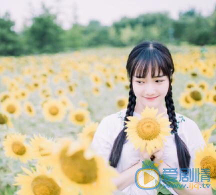李彦漫向日葵写真 李彦漫高清写真_李彦漫高清剧照