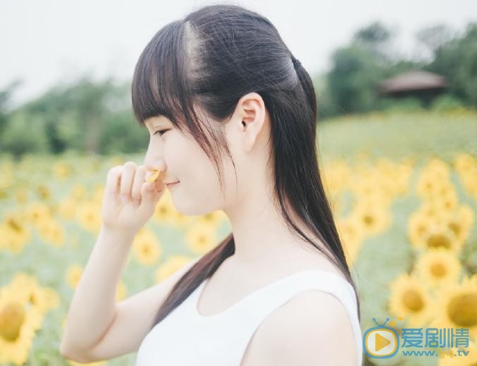 李彦漫向日葵写真 李彦漫高清写真_李彦漫高清剧照