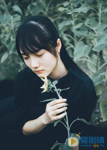 李彦漫向日葵写真 李彦漫高清写真_李彦漫高清剧照
