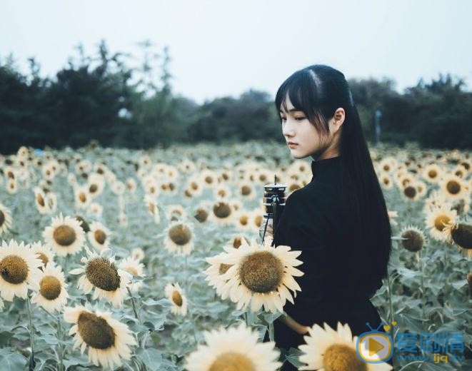 李彦漫向日葵写真 李彦漫高清写真_李彦漫高清剧照