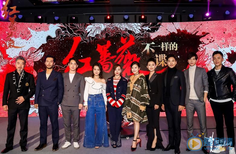 红蔷薇发布会 杨子姗陈晓吻戏默契度爆表