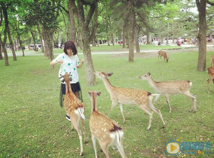 阿悄旅行照 阿悄高清写真_阿悄高清剧照