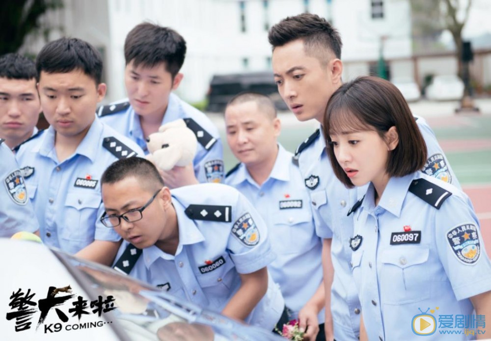 警犬来啦剧情介绍(1-46集大结局)