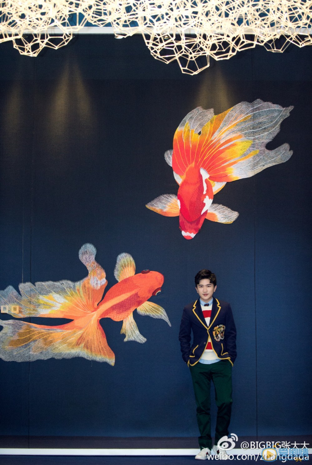 张大大时尚写真 张大大高清写真_张大大高清剧照