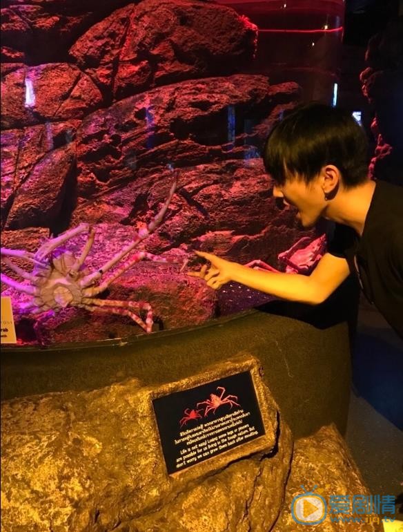钟正生活照 钟正高清写真_钟正高清剧照