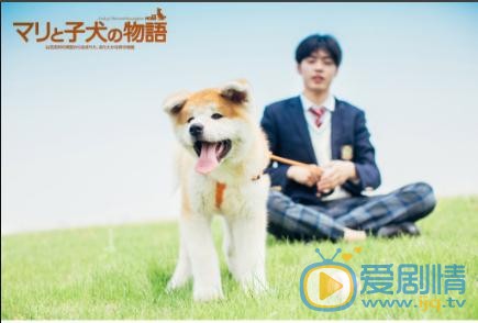 秦子墨校园写真 秦子墨高清写真_秦子墨高清剧照