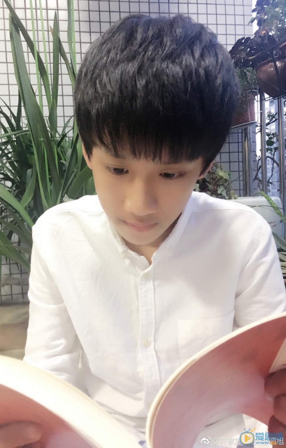 陈泗旭自拍写真 陈泗旭高清写真_陈泗旭高清剧照