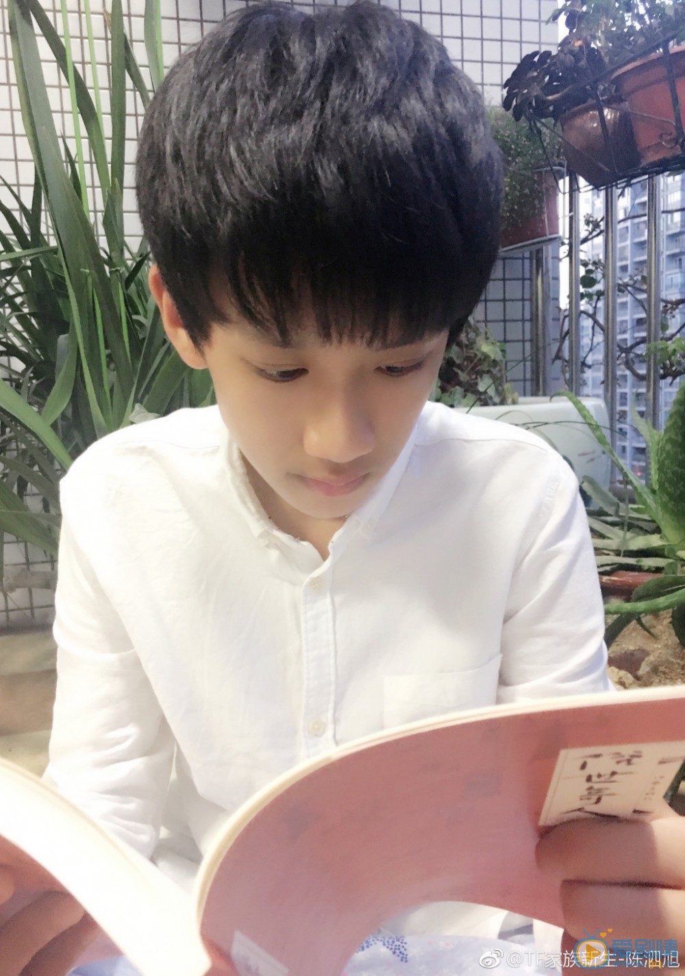 陈泗旭自拍写真 陈泗旭高清写真_陈泗旭高清剧照