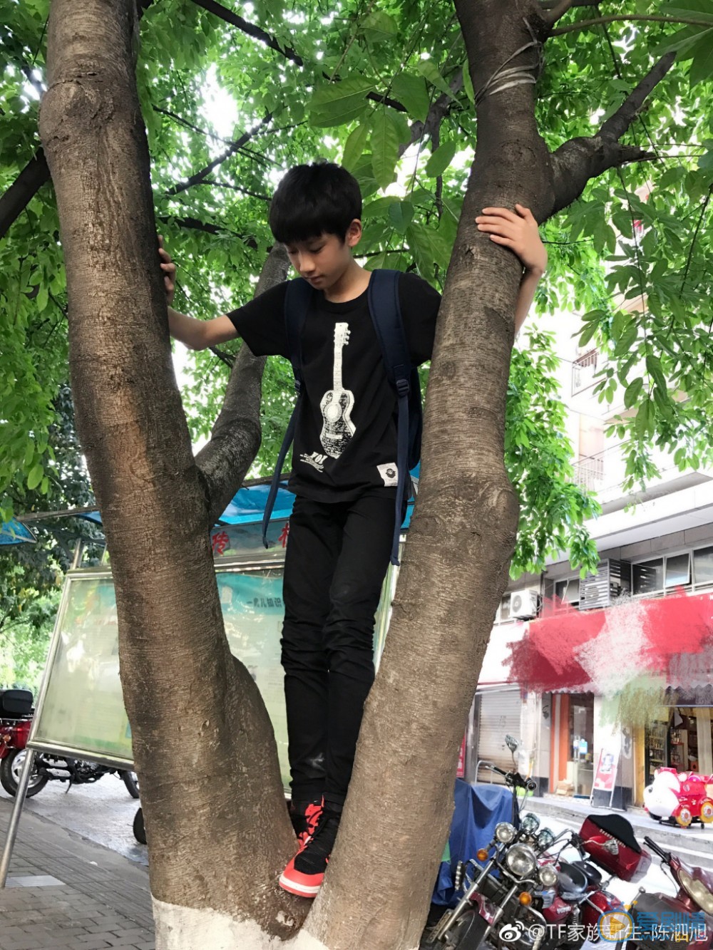 陈泗旭街拍写真 陈泗旭高清写真_陈泗旭高清剧照