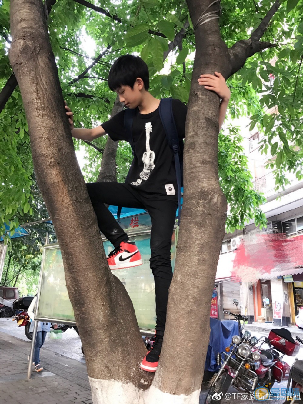 陈泗旭街拍写真 陈泗旭高清写真_陈泗旭高清剧照