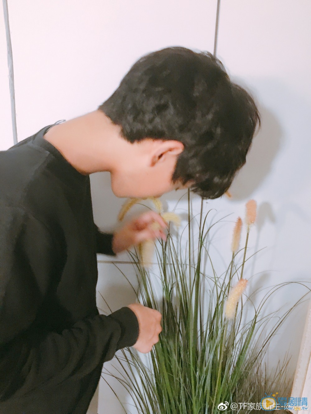 陈泗旭自拍写真 陈泗旭高清写真_陈泗旭高清剧照