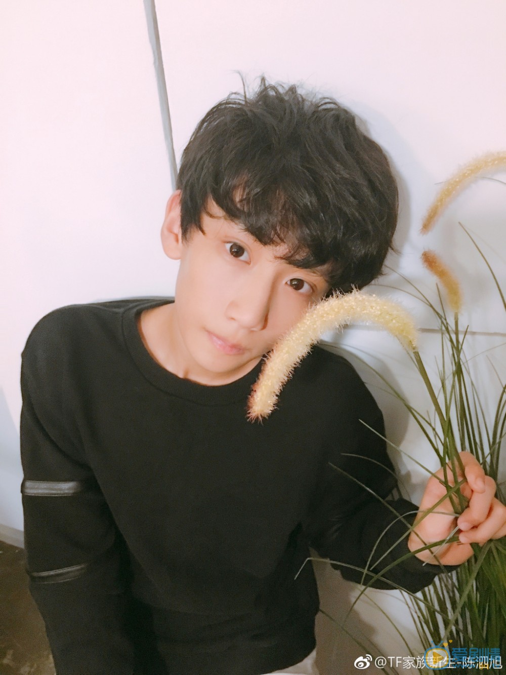 陈泗旭自拍写真 陈泗旭高清写真_陈泗旭高清剧照