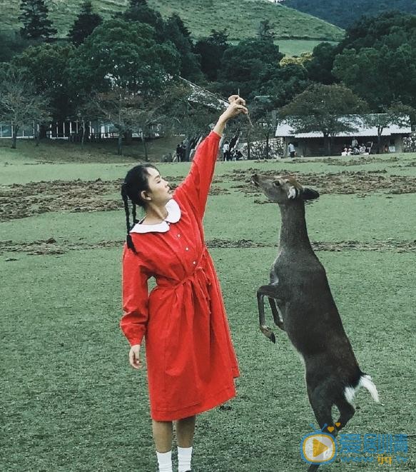 周依然日本街头 周依然高清写真_周依然高清剧照