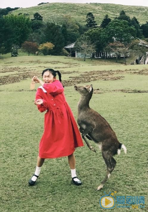 周依然日本街头 周依然高清写真_周依然高清剧照