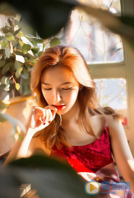 张婕婕时尚写真 张婕婕高清写真_张婕婕高清剧照