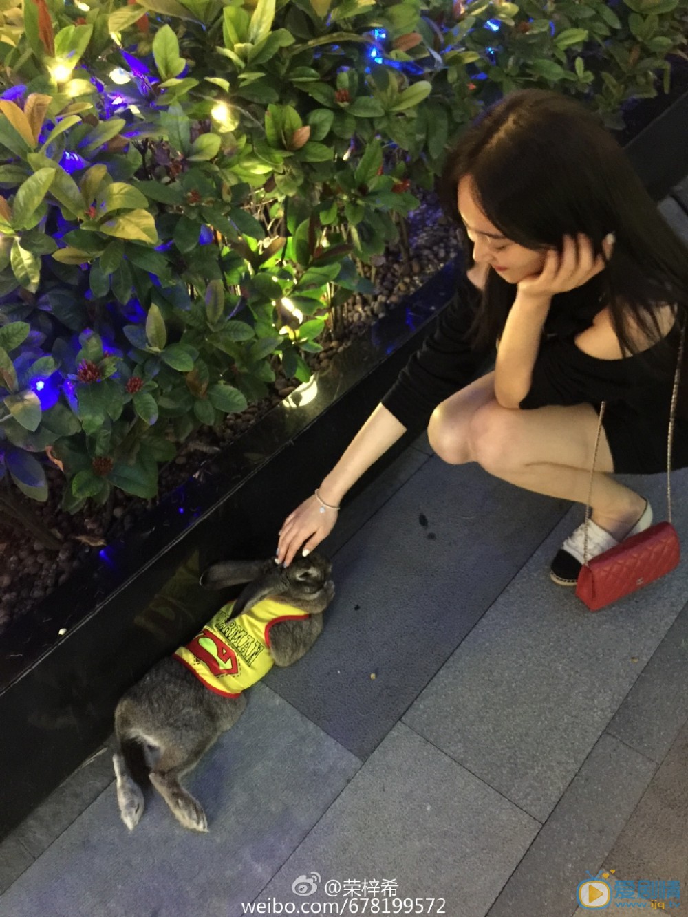 荣梓希街拍写真 荣梓希高清写真_荣梓希高清剧照
