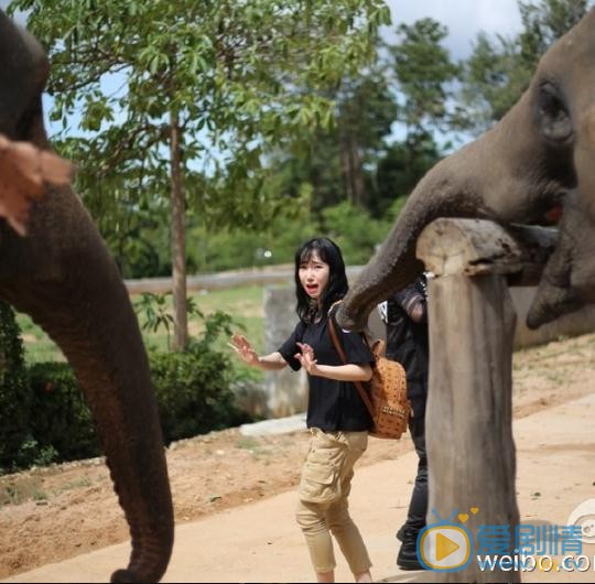 王瑞淇俏丽写真 王瑞淇高清写真_王瑞淇高清剧照