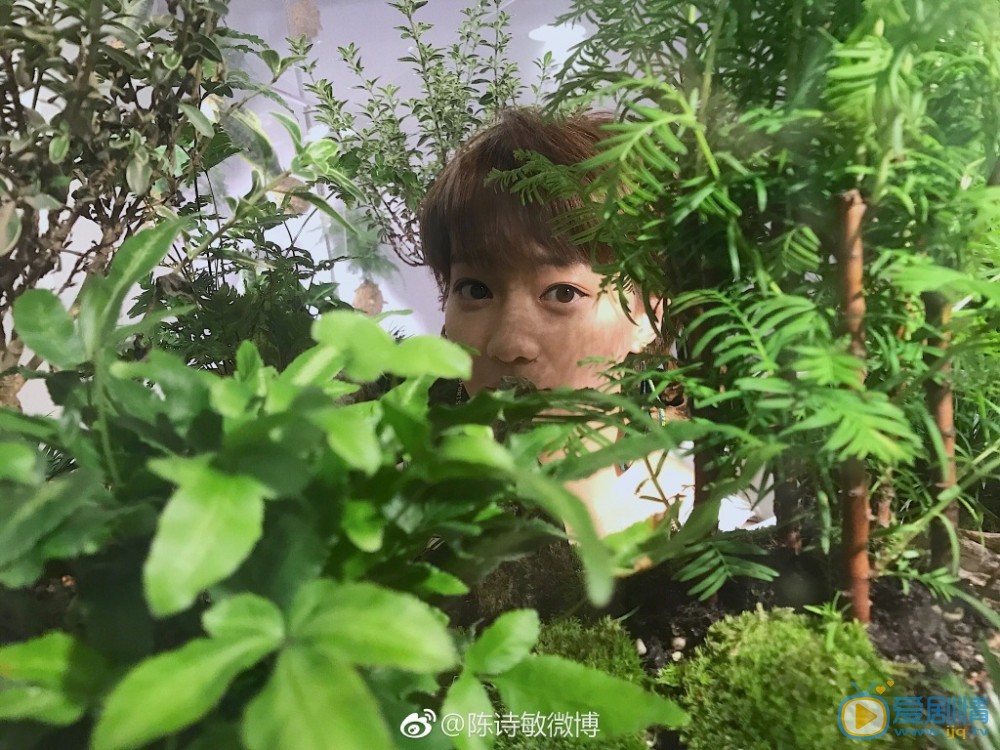 陈诗敏旅行写真 陈诗敏高清写真_陈诗敏高清剧照