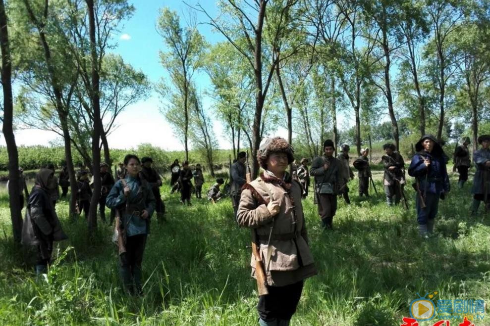爱国者剧情介绍(1-50集大结局)