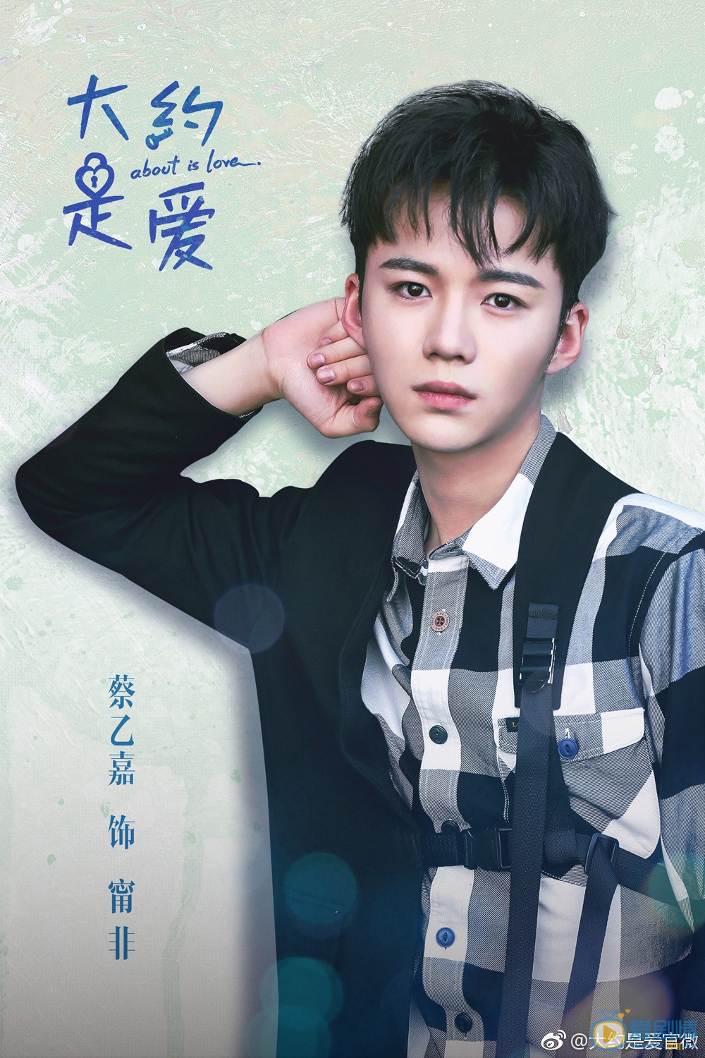 大约是爱剧照