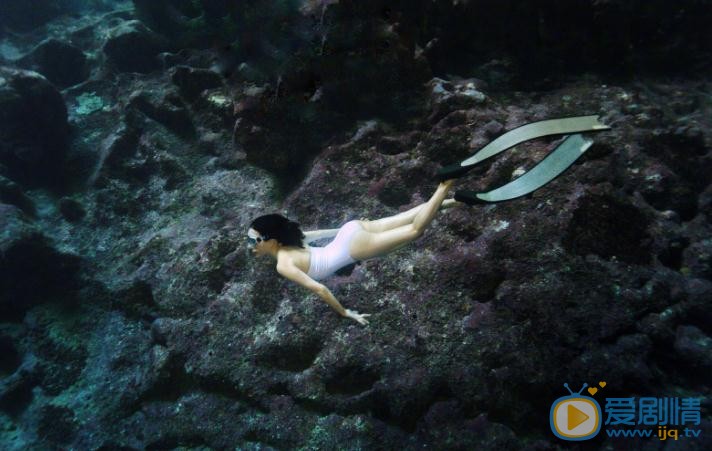 钟丽缇杂志写真 钟丽缇高清写真_钟丽缇高清剧照