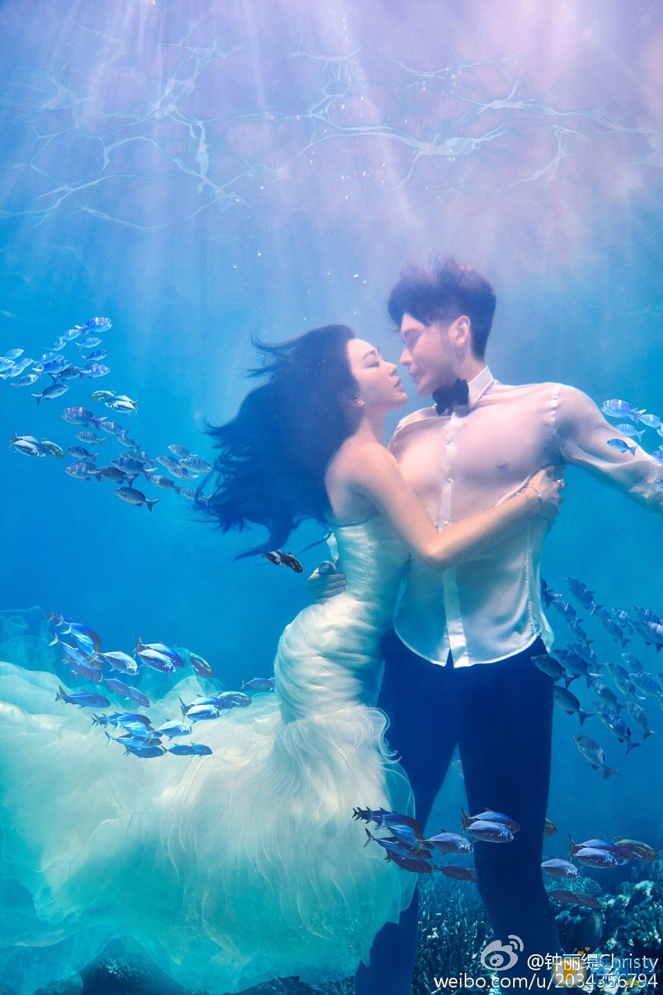 钟丽缇钟丽缇张伦硕婚纱照 钟丽缇高清写真_钟丽缇高清剧照