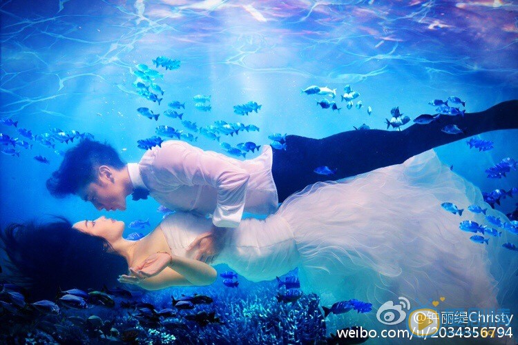 钟丽缇钟丽缇张伦硕婚纱照 钟丽缇高清写真_钟丽缇高清剧照