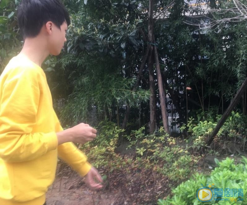 黄星羱旅行大片 黄星羱高清写真_黄星羱高清剧照