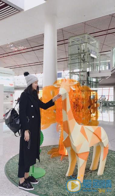 张梓琳生活照 张梓琳高清写真_张梓琳高清剧照