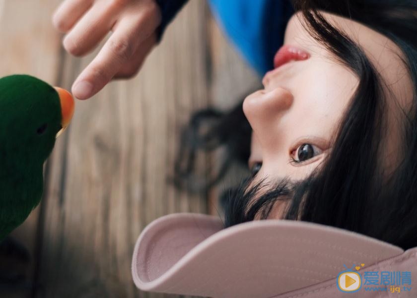 潘美烨鹦鹉写真 潘美烨高清写真_潘美烨高清剧照