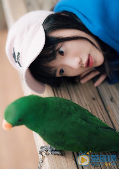 潘美烨鹦鹉写真 潘美烨高清写真_潘美烨高清剧照