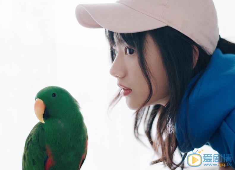 潘美烨鹦鹉写真 潘美烨高清写真_潘美烨高清剧照