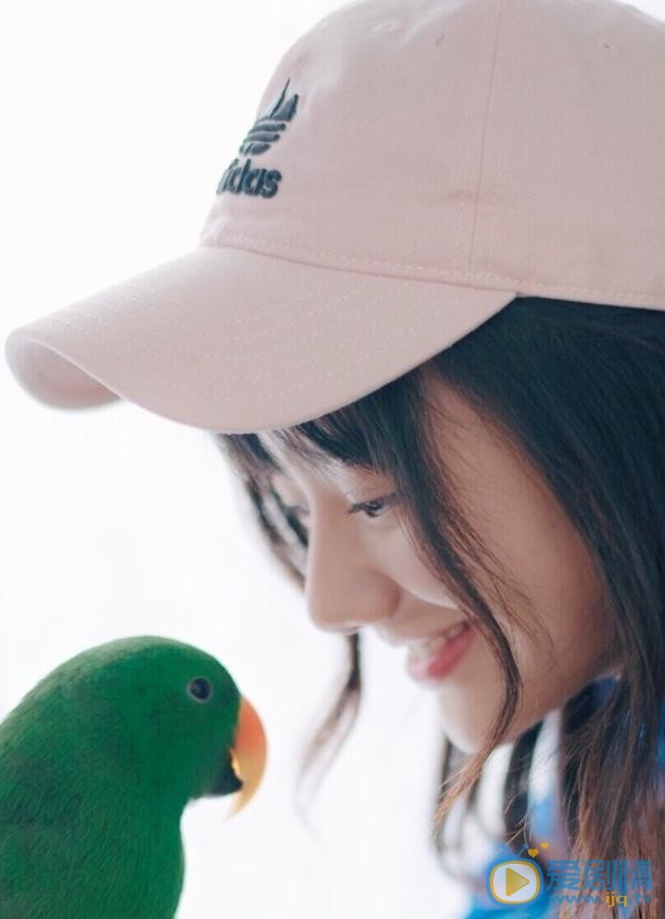 潘美烨鹦鹉写真 潘美烨高清写真_潘美烨高清剧照