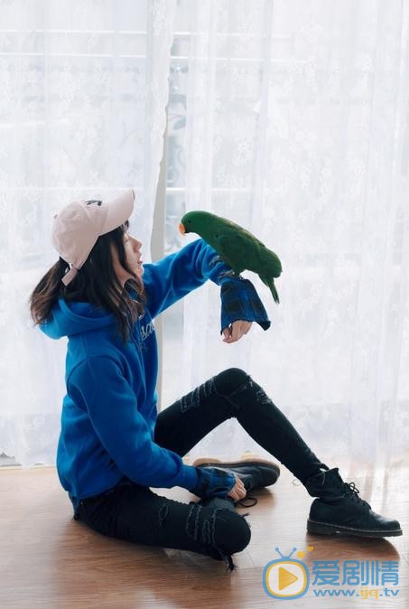 潘美烨鹦鹉写真 潘美烨高清写真_潘美烨高清剧照