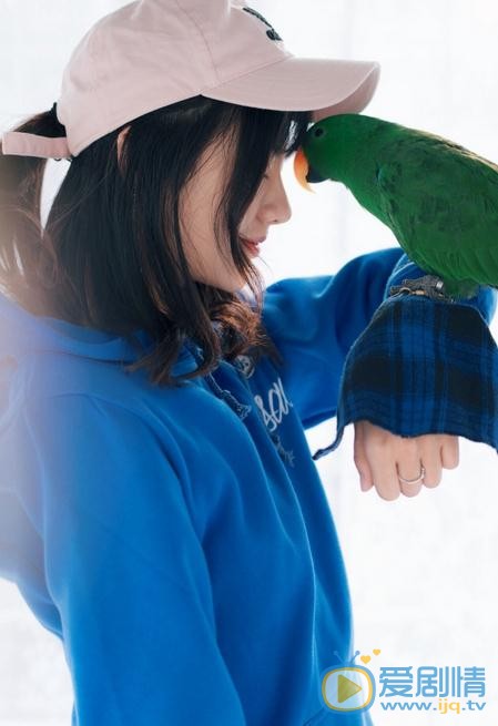 潘美烨鹦鹉写真 潘美烨高清写真_潘美烨高清剧照