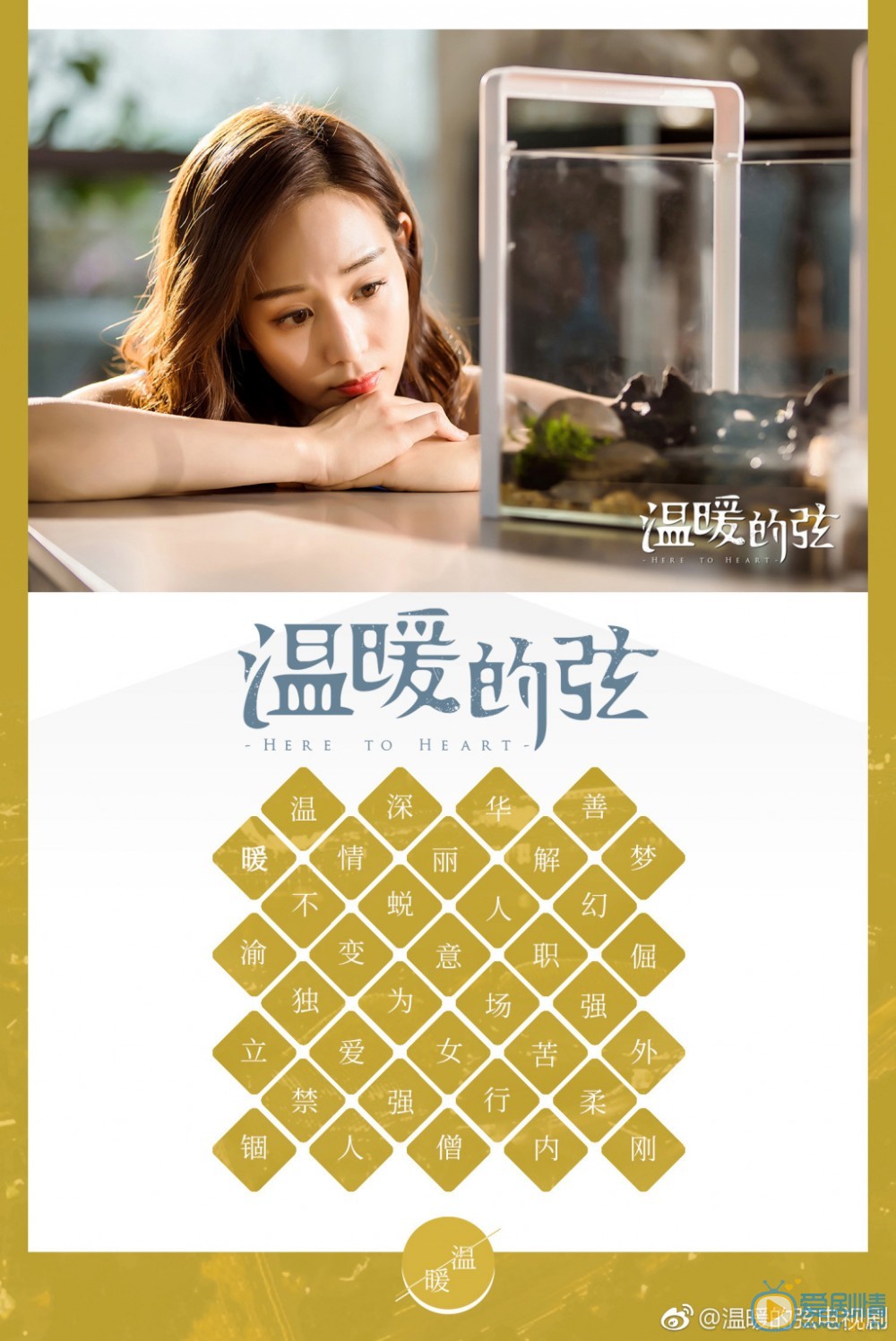 温暖的弦剧照