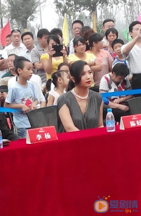 陈好出席活动照 陈好高清写真_陈好高清剧照