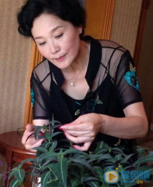 杨青生活照 杨青高清写真_杨青高清剧照