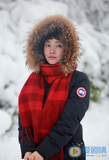 杨梅写真 杨梅高清写真_杨梅高清剧照